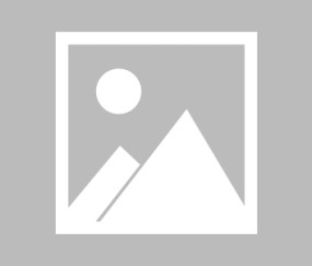 2025青岛时尚体育消费季“青岛杯”卡丁车锦标赛落幕_手机新浪网